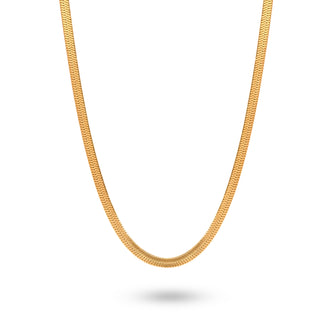 Collar Snake